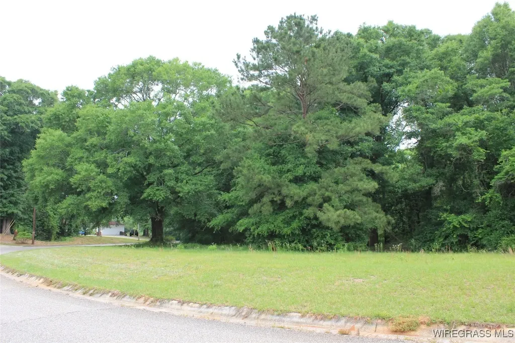 100 Oak Bluff Drive Enterprise AL 36330