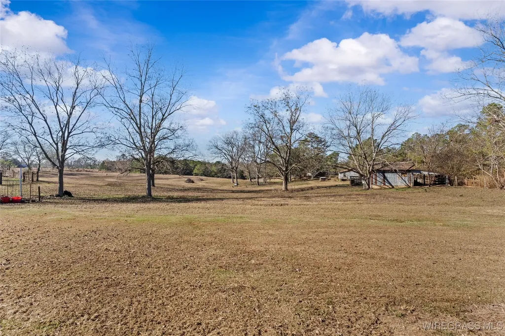 31077 Johnson Street Andalusia AL 36421