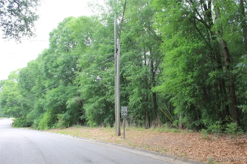 200 Oak Bluff Drive Enterprise AL 36330