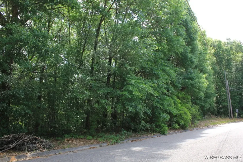 200 Oak Bluff Drive Enterprise AL 36330