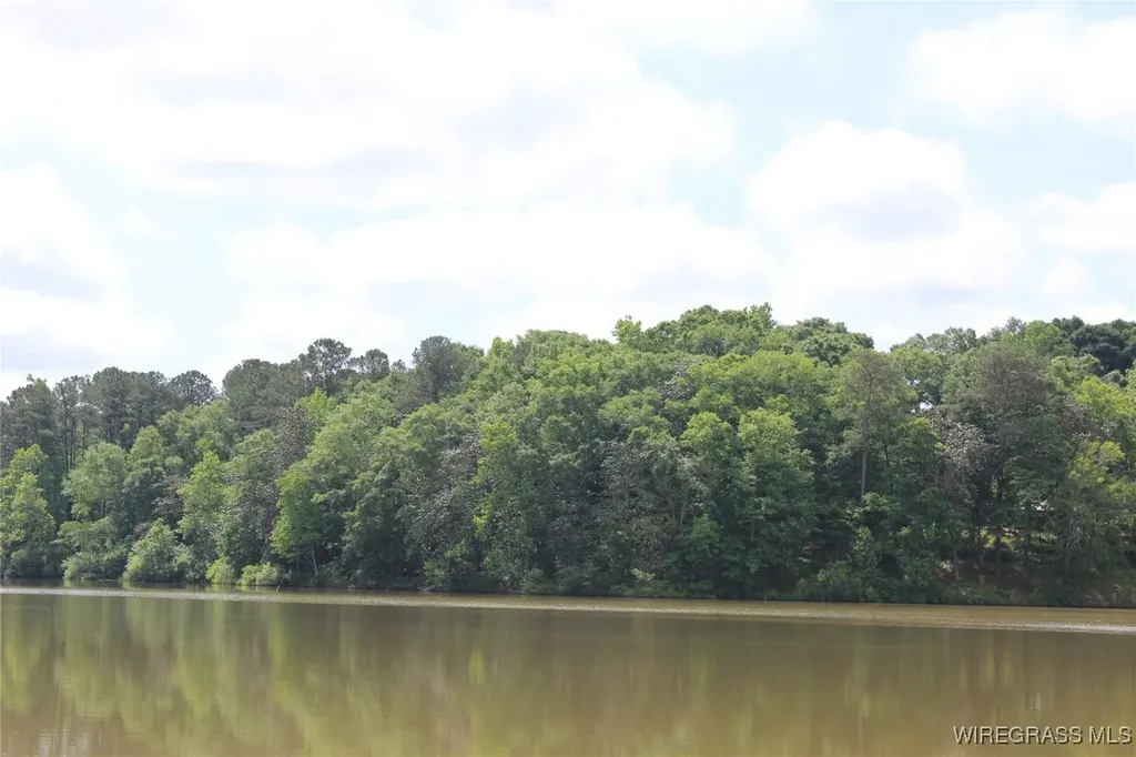 200 Oak Bluff Drive Enterprise AL 36330