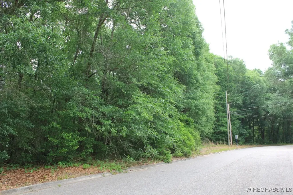 200 Oak Bluff Drive Enterprise AL 36330