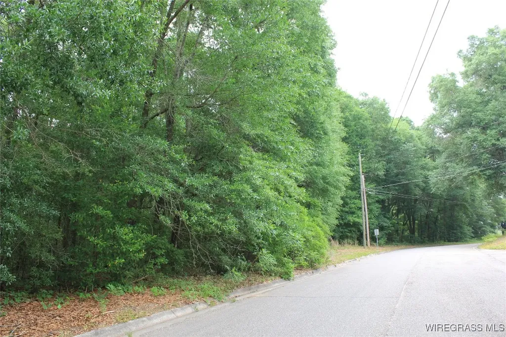 200 Oak Bluff Drive Enterprise AL 36330