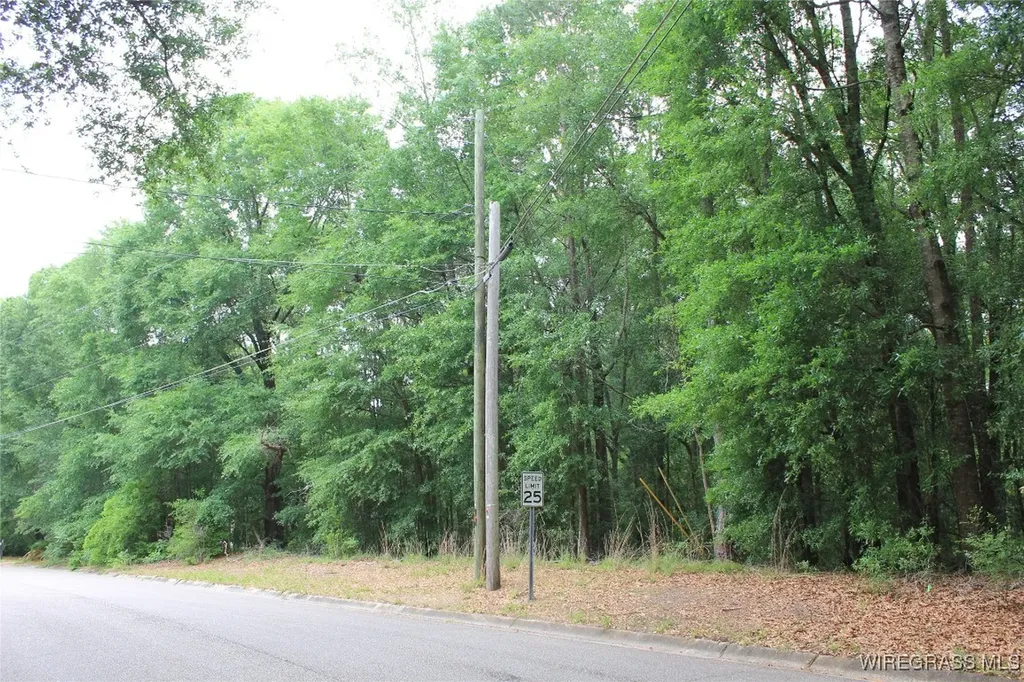 200 Oak Bluff Drive Enterprise AL 36330