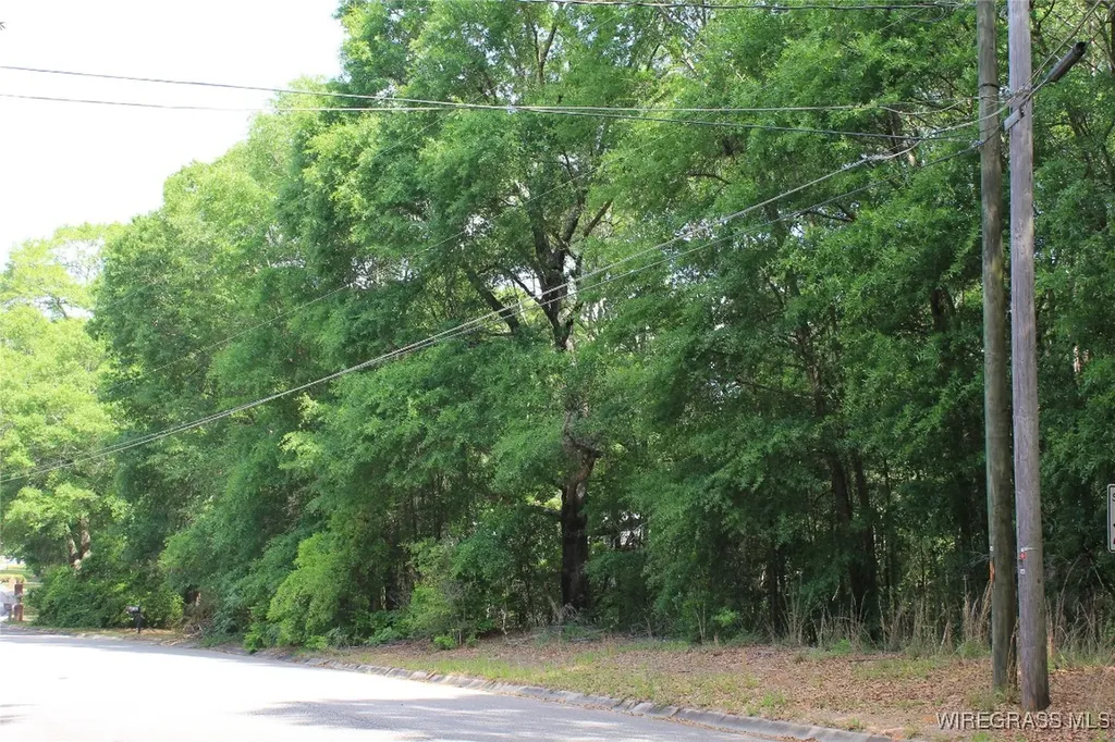 200 Oak Bluff Drive Enterprise AL 36330