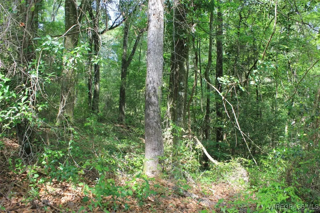 200 Oak Bluff Drive Enterprise AL 36330