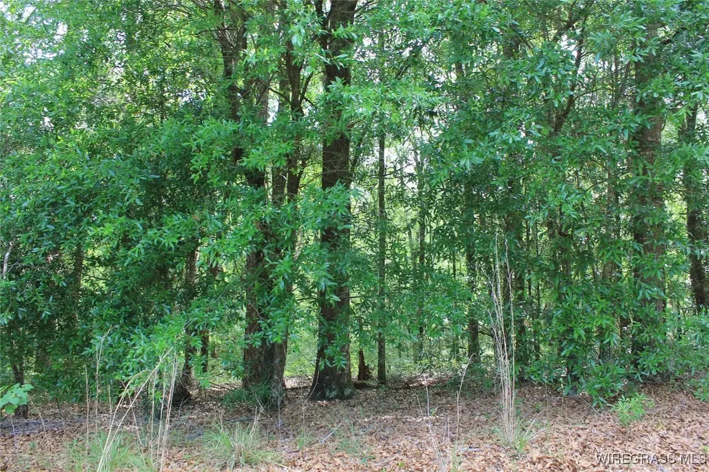 104 Oak Bluff Drive Enterprise AL 36330
