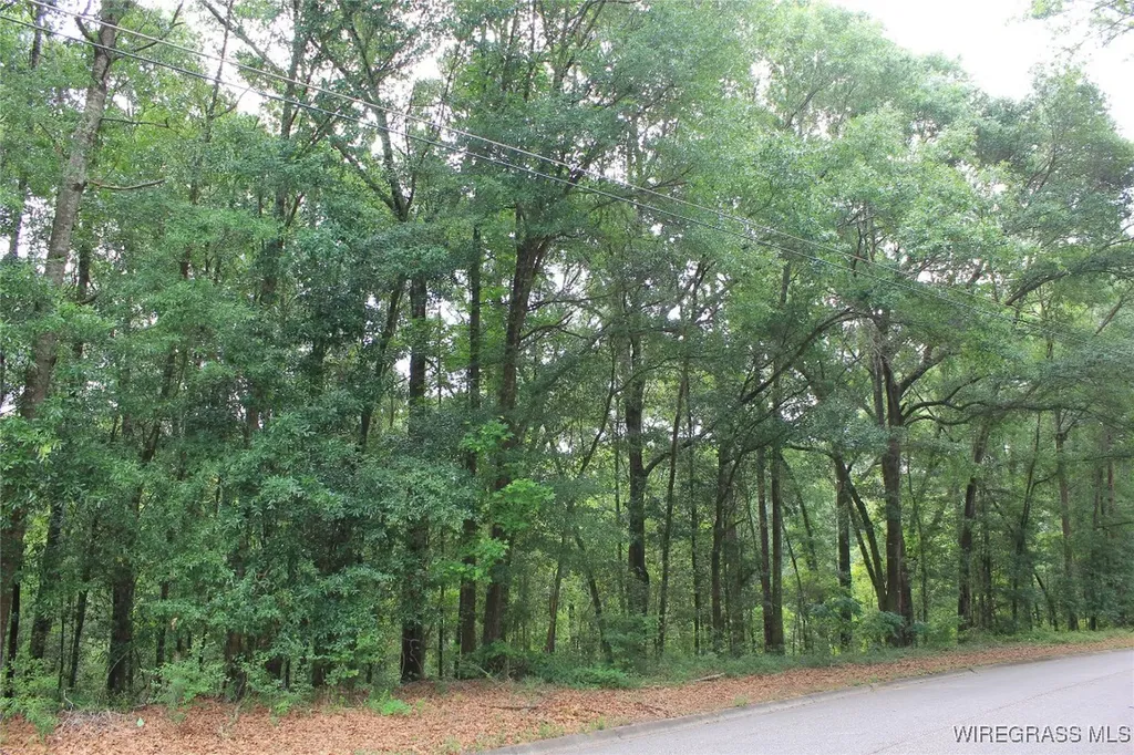 104 Oak Bluff Drive Enterprise AL 36330