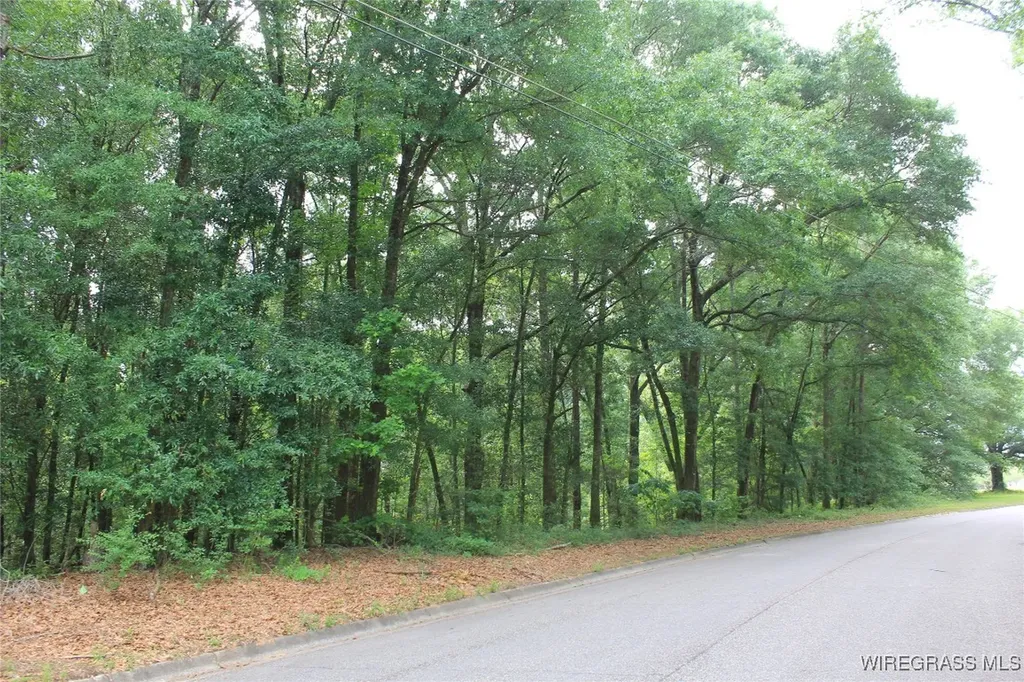 104 Oak Bluff Drive Enterprise AL 36330