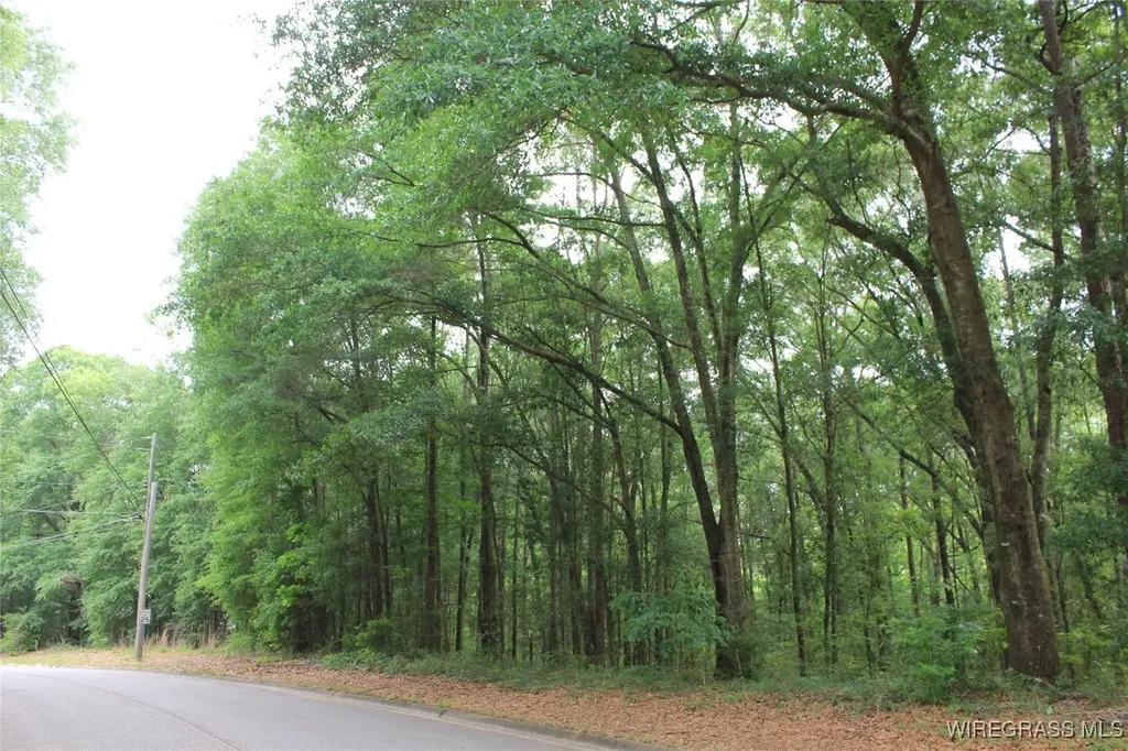 104 Oak Bluff Drive Enterprise AL 36330