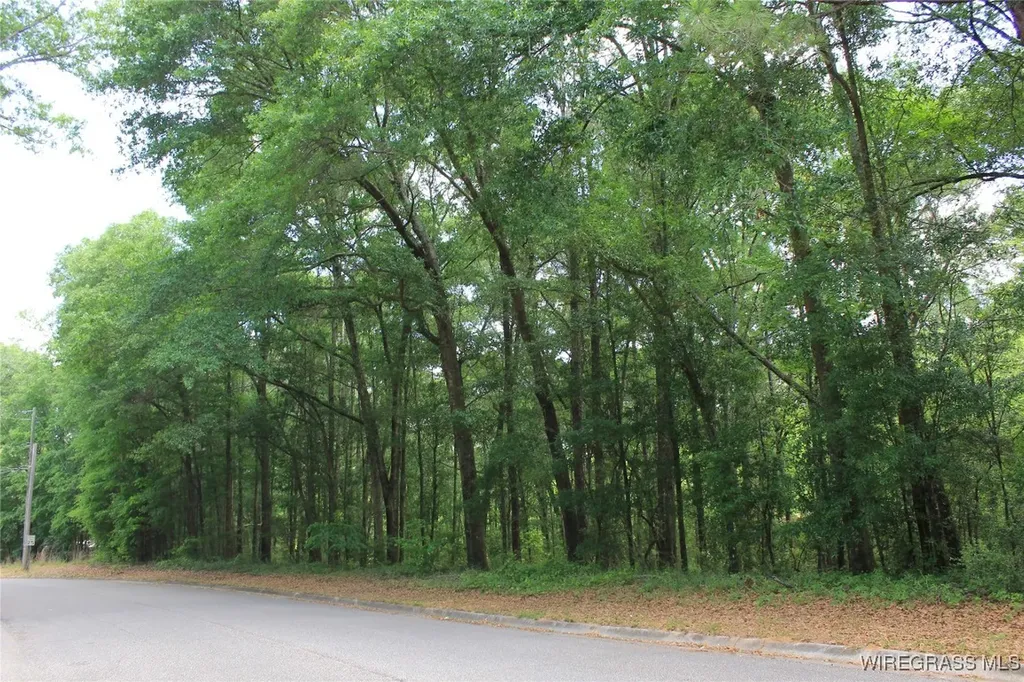 102 Oak Bluff Drive Enterprise AL 36330