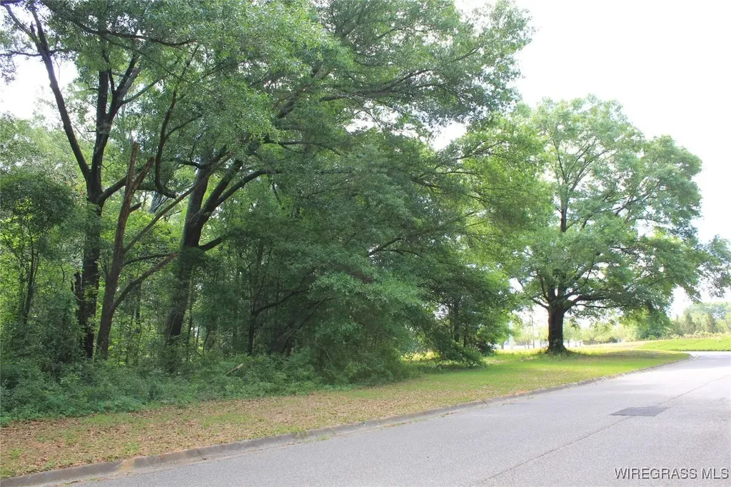 102 Oak Bluff Drive Enterprise AL 36330
