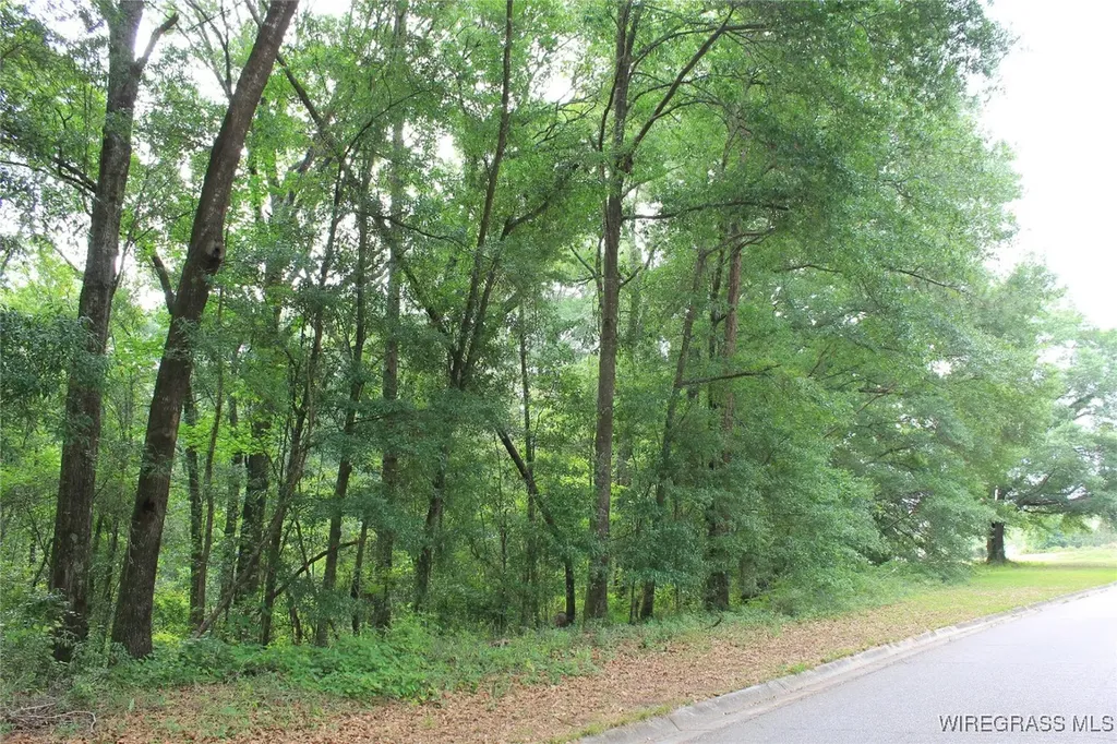 102 Oak Bluff Drive Enterprise AL 36330