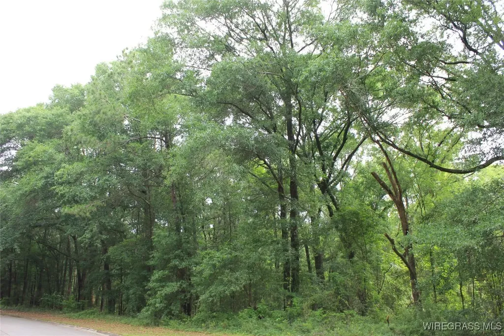 102 Oak Bluff Drive Enterprise AL 36330