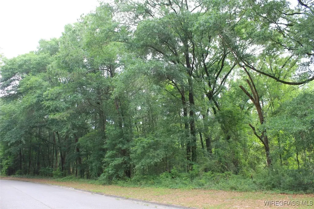 102 Oak Bluff Drive Enterprise AL 36330
