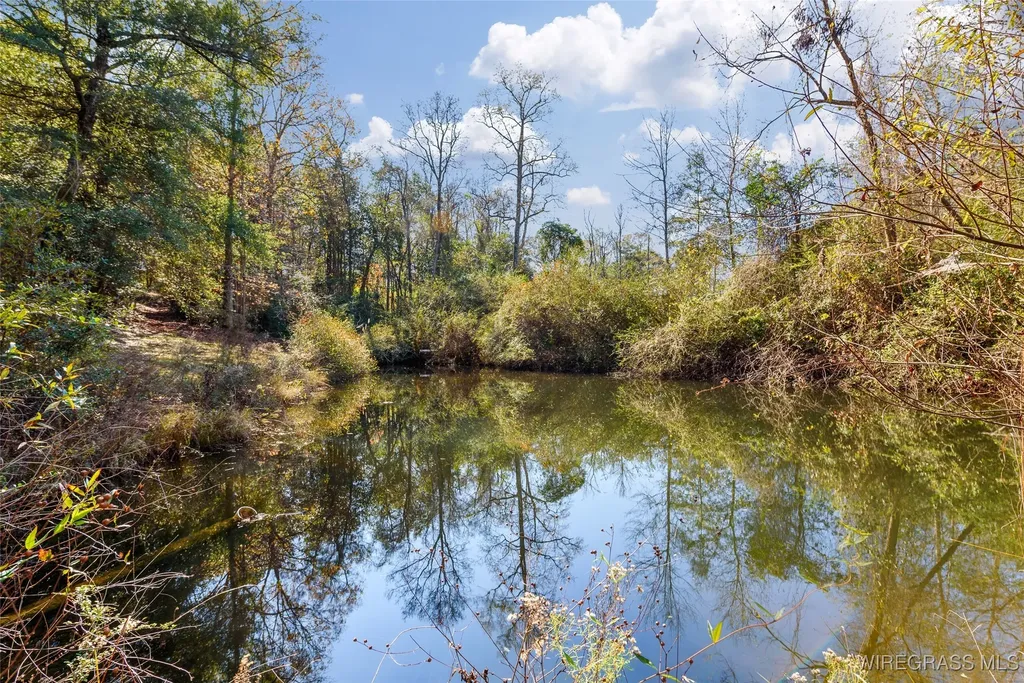 209 County Road 556 Enterprise AL 36330