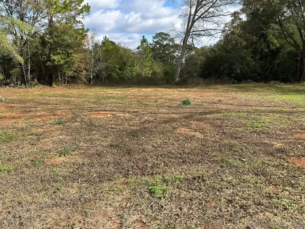 15612 Highway 167 New Brockton AL 36351