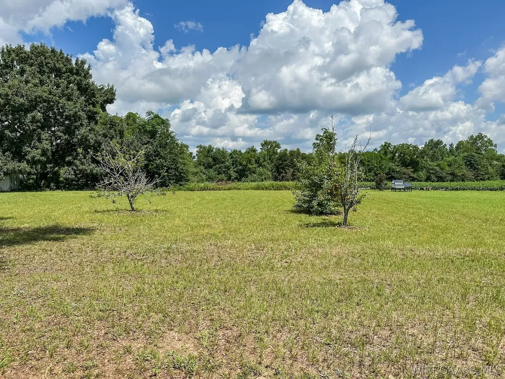 6569 E State Highway 52 Highway Hartford AL 36344