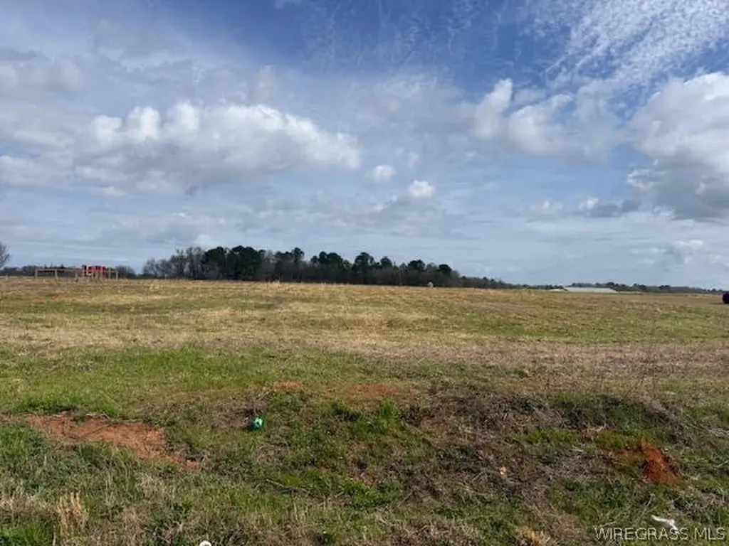 10 County Road 711 Enterprise AL 36330