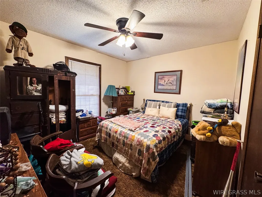 20055 Highway 84 New Brockton AL 36351