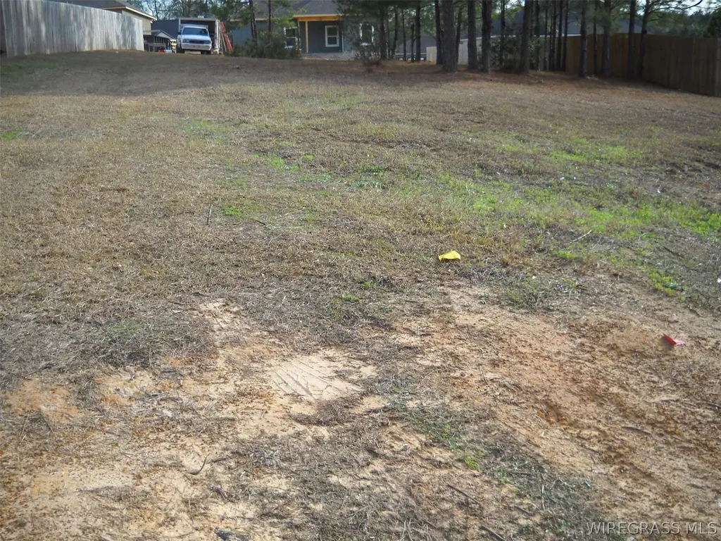2 Sandy Hills Court Ozark AL 36360