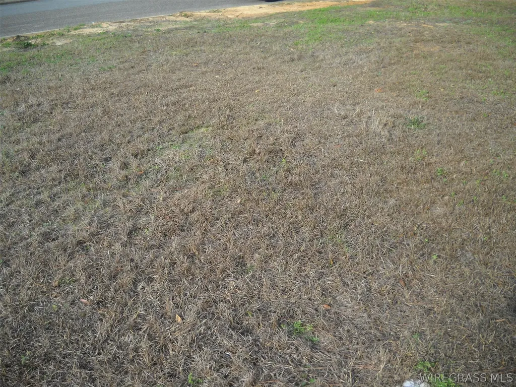 2 Sandy Hills Court Ozark AL 36360