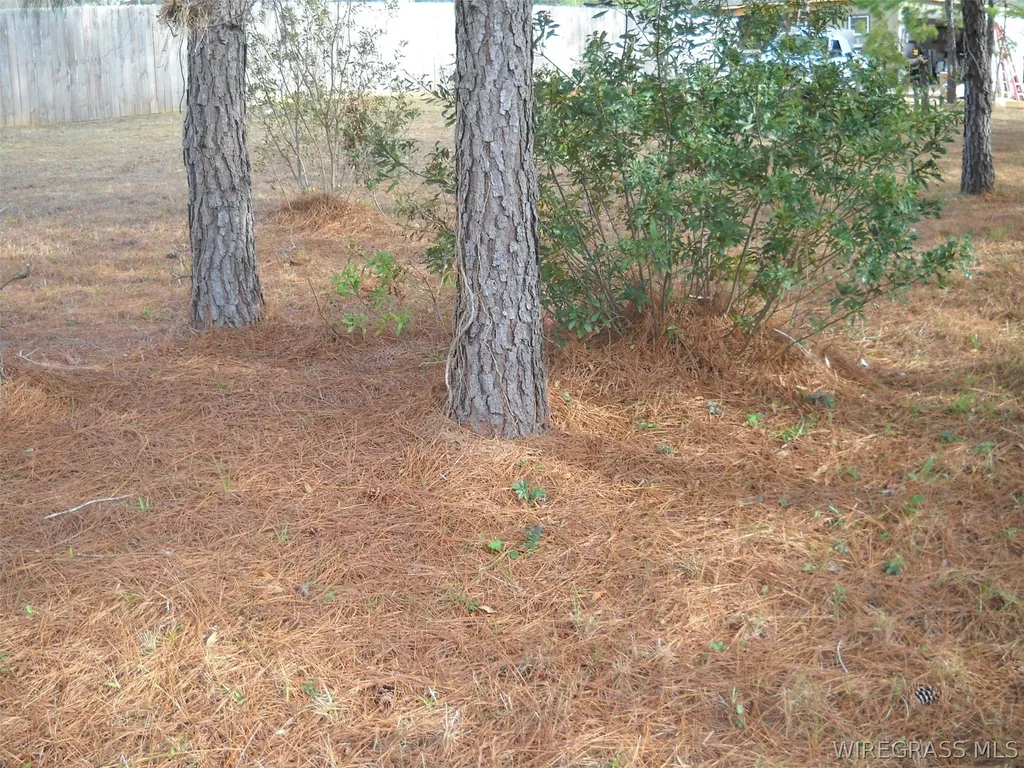 2 Sandy Hills Court Ozark AL 36360