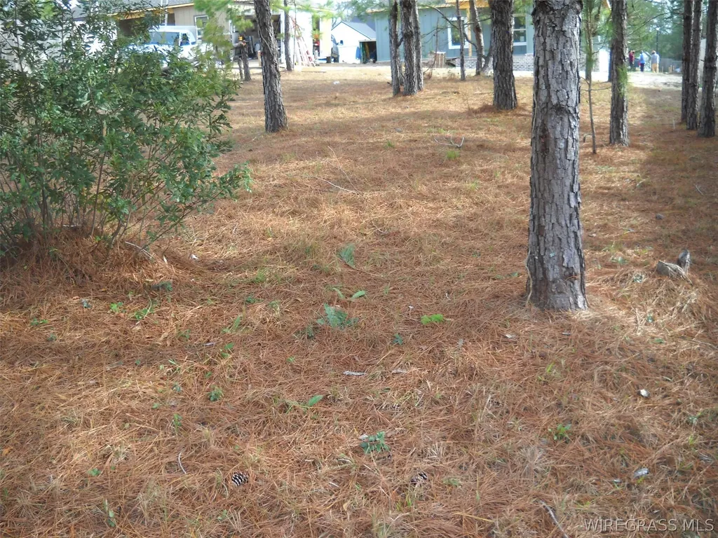 2 Sandy Hills Court Ozark AL 36360