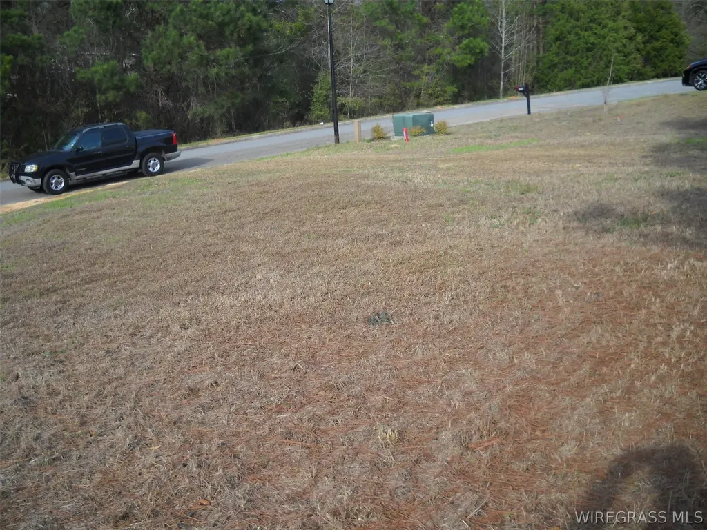 2 Sandy Hills Court Ozark AL 36360