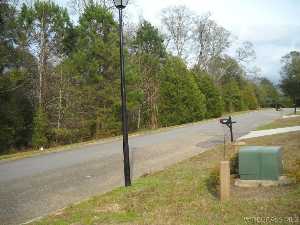 2 Sandy Hills Court Ozark AL 36360