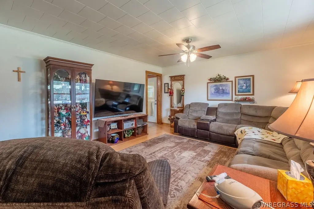 1051 Morrow Avenue Elba AL 36323