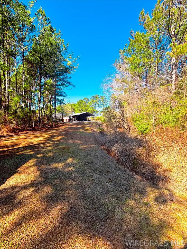 654 County Road 353 Elba AL 36323