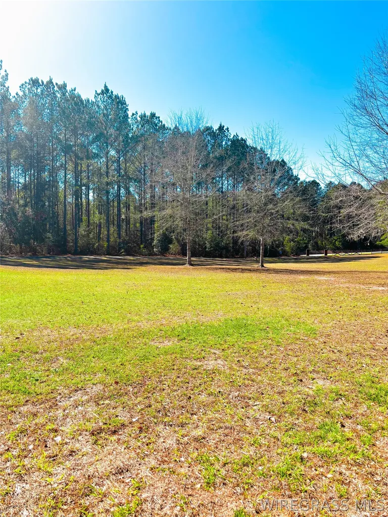 654 County Road 353 Elba AL 36323