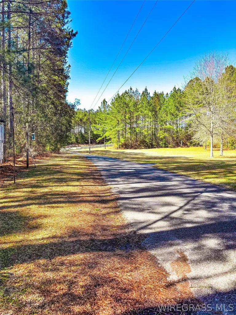 654 County Road 353 Elba AL 36323