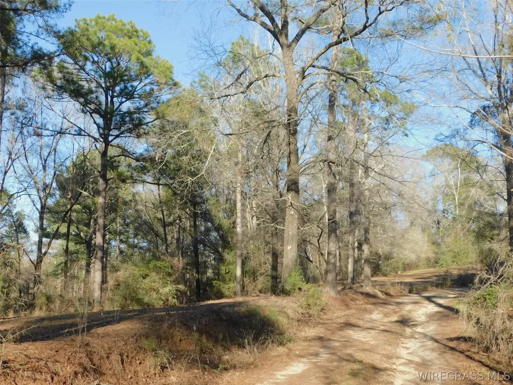 28584 Hammett Road Andalusia AL 36421