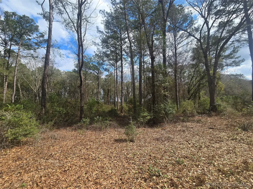 0 County Road 619 Enterprise AL 36330