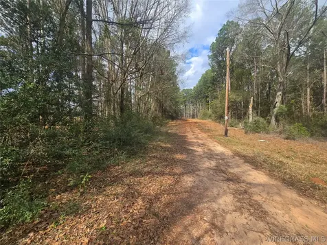 0 County Road 619 Enterprise AL 36330