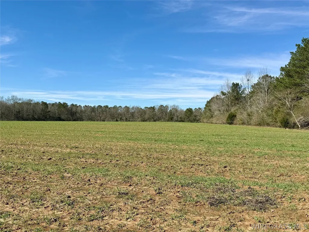 30 County Road 734 Chancellor AL 36316