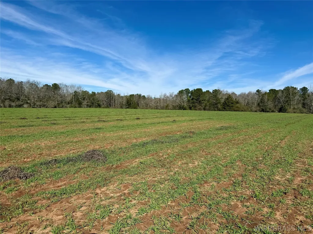 30 County Road 734 Chancellor AL 36316