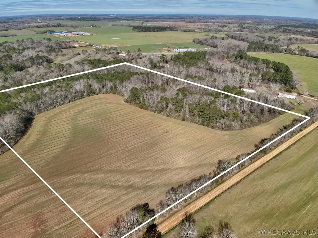 30 County Road 734 Chancellor AL 36316