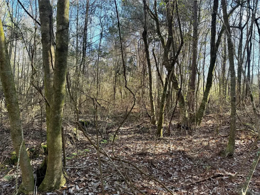 30 County Road 734 Chancellor AL 36316