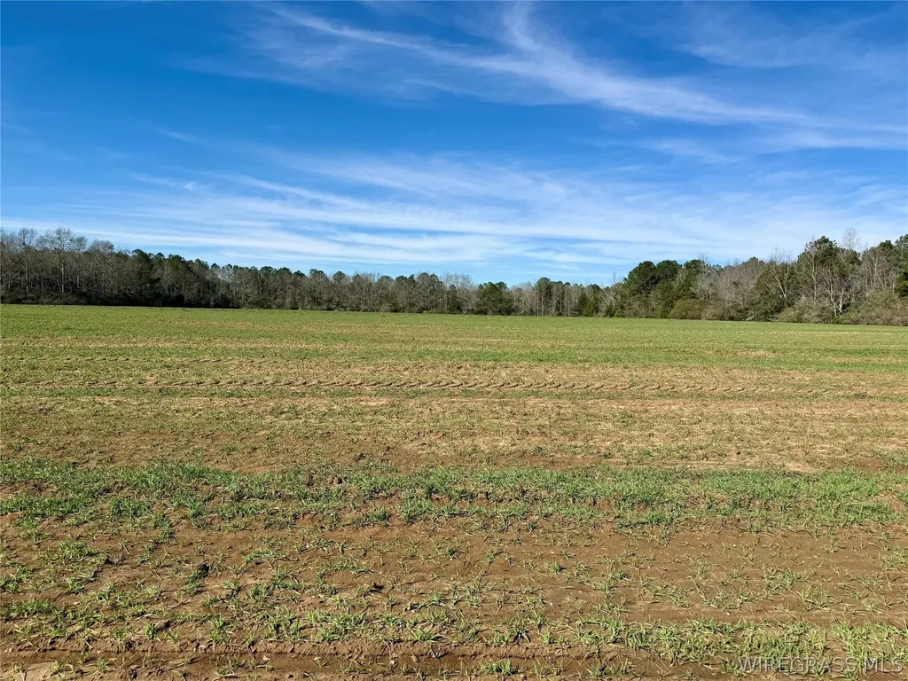 30 County Road 734 Chancellor AL 36316