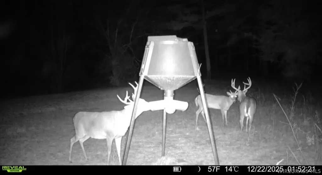 30 County Road 734 Chancellor AL 36316