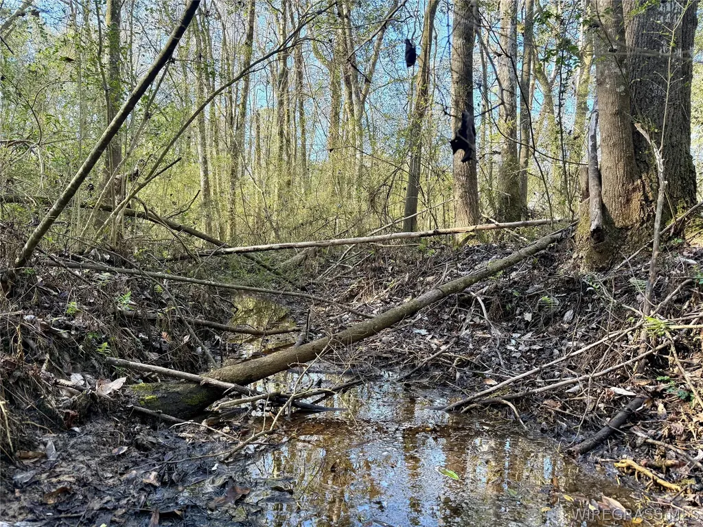 30 County Road 734 Chancellor AL 36316