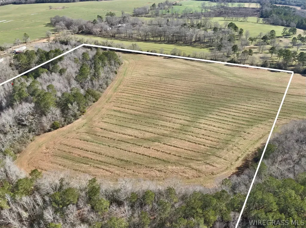 30 County Road 734 Chancellor AL 36316