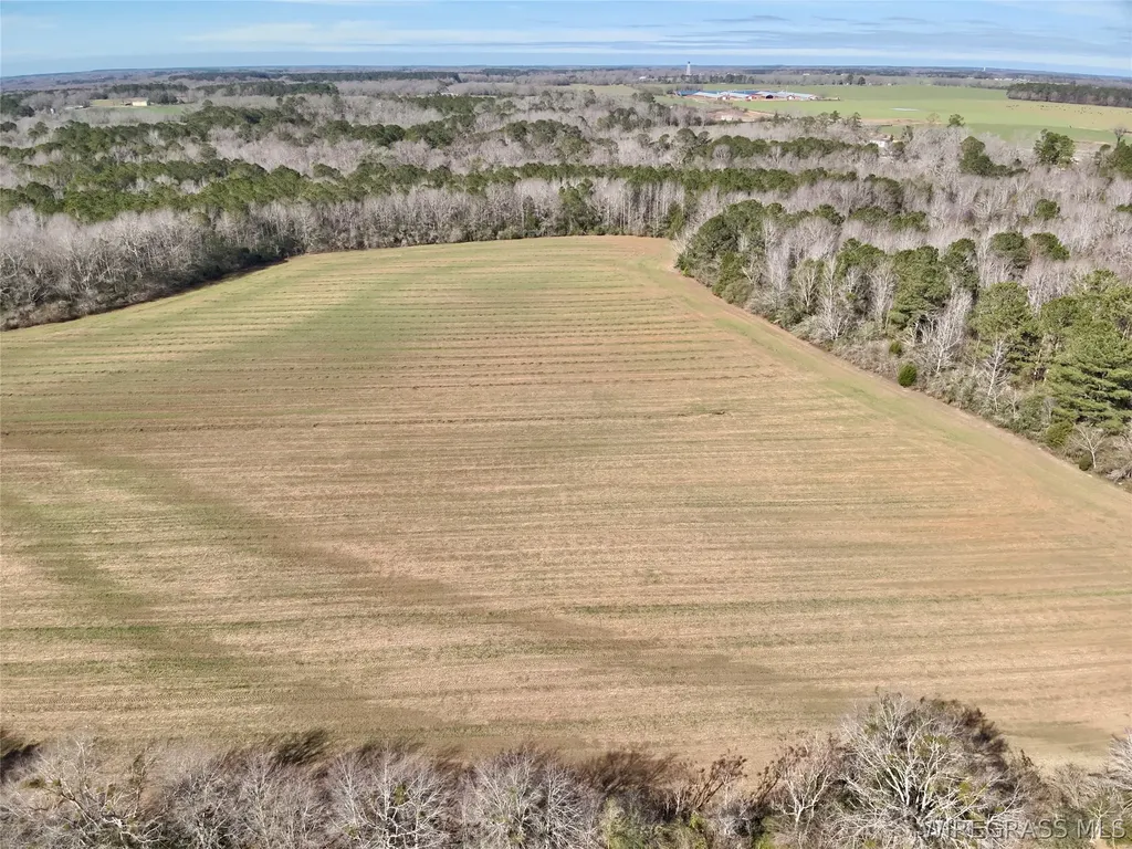 30 County Road 734 Chancellor AL 36316