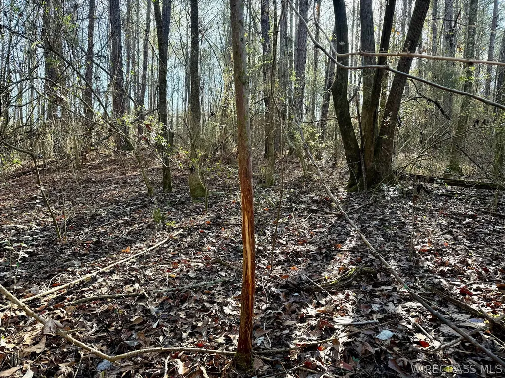 30 County Road 734 Chancellor AL 36316