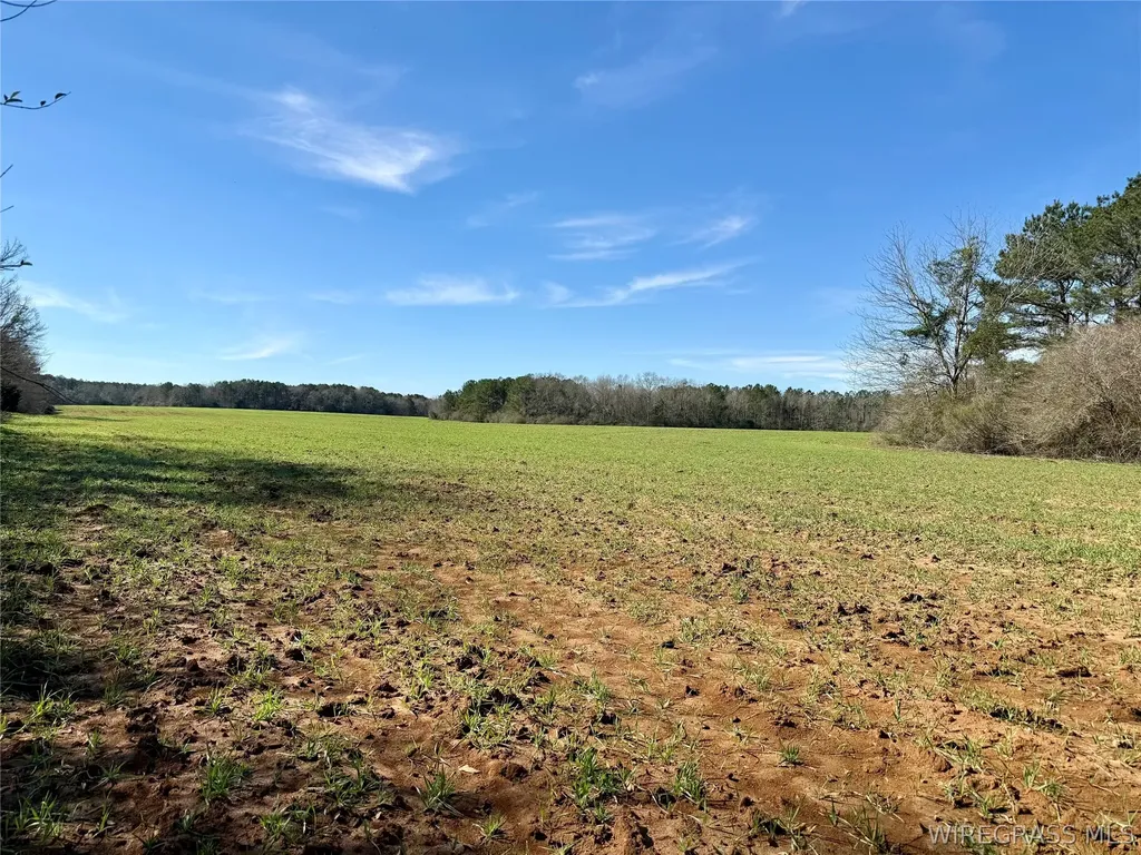 30 County Road 734 Chancellor AL 36316