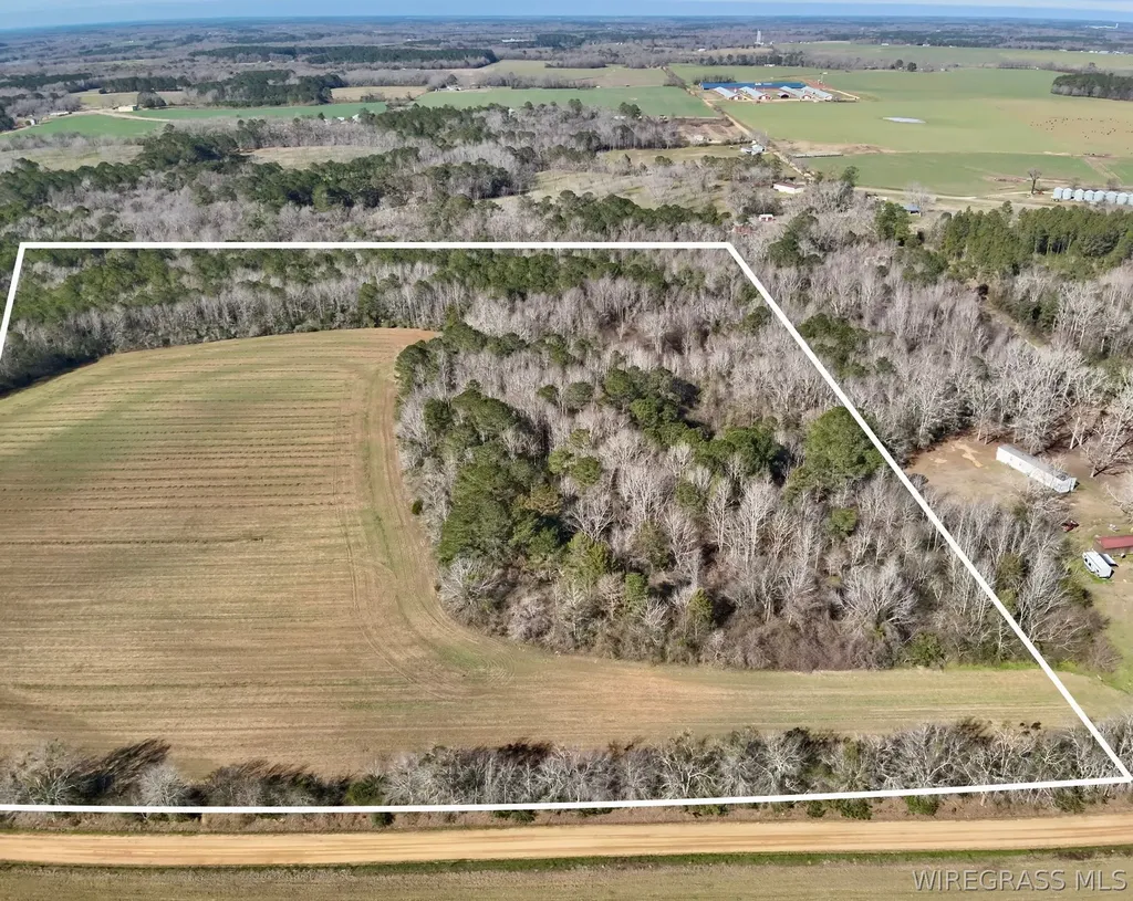 30 County Road 734 Chancellor AL 36316