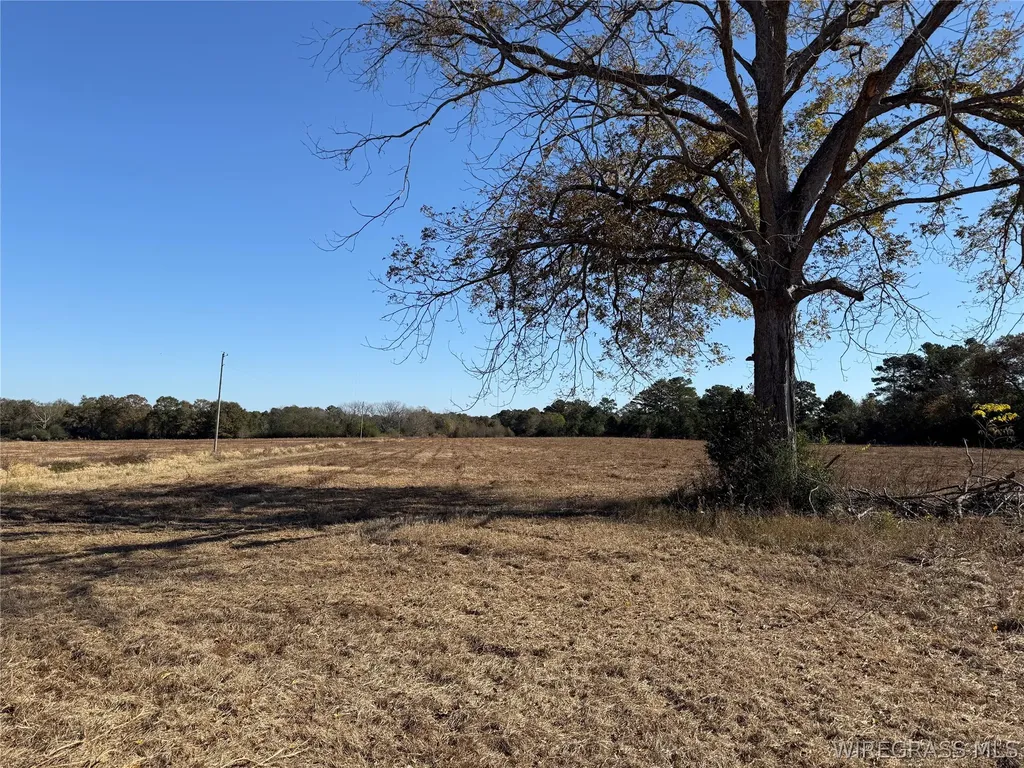 10 Huskey Road Dothan AL 36303